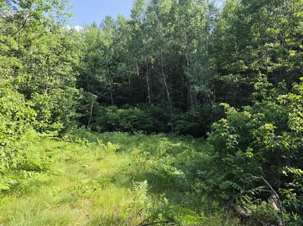 4.62 acres OAK RIDGE ROAD, Amberg, WI 54102
