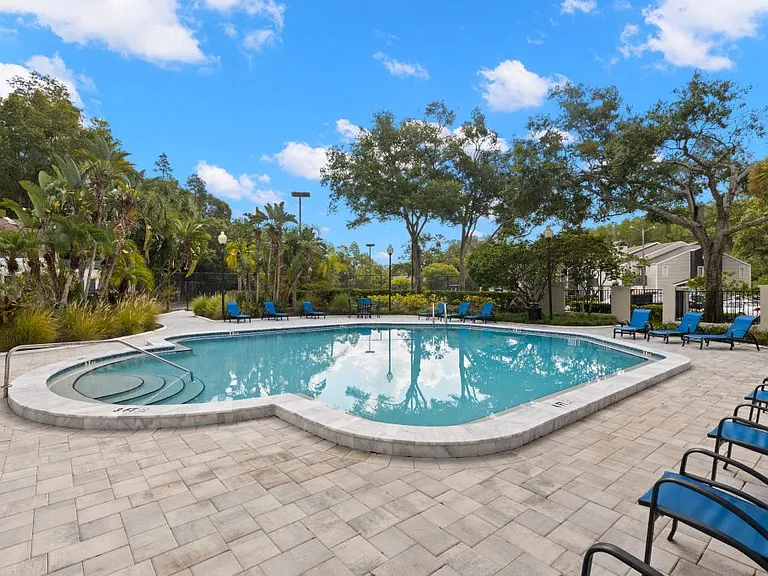 The Pointe at Carrollwood — Photo 38