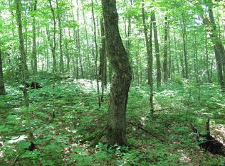 xxx S Caribou Dr, Lutsen, MN 55615