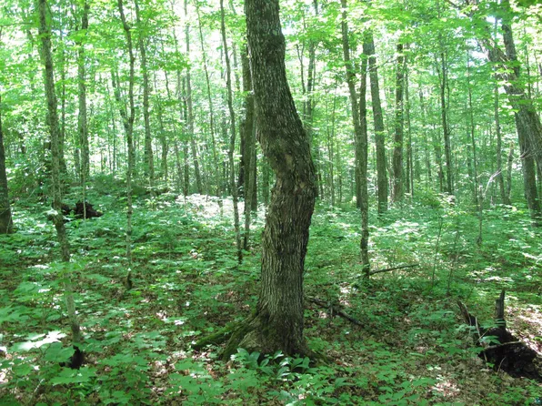 S Caribou Dr, Lutsen, MN 55612