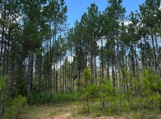 PARCEL Old River Rd #I, Moselle, MS 39459