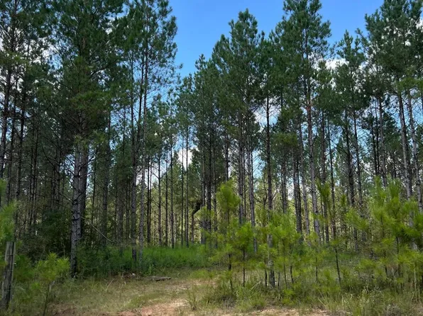 PARCEL Old River Rd #I, Moselle, MS 39459