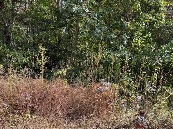 41 Traveller Cir, Montross, VA 22520