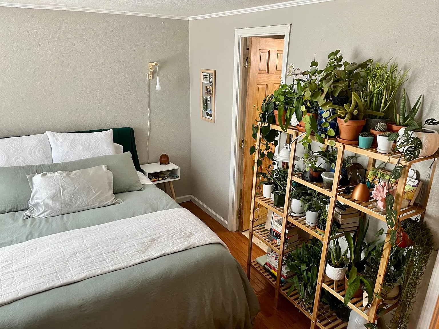 1 bed, 500 sqft, $1,050 — Photo 2