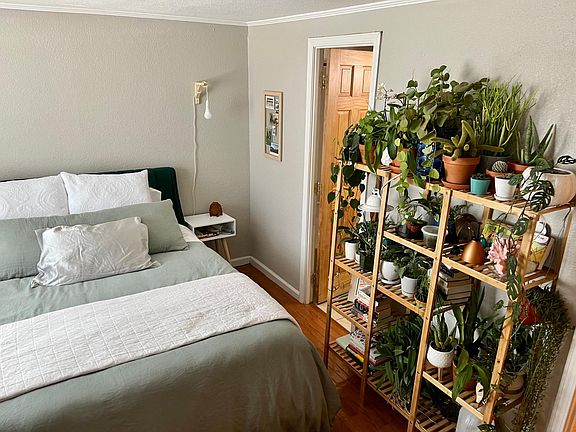 Lots of natural light for those plant babies!