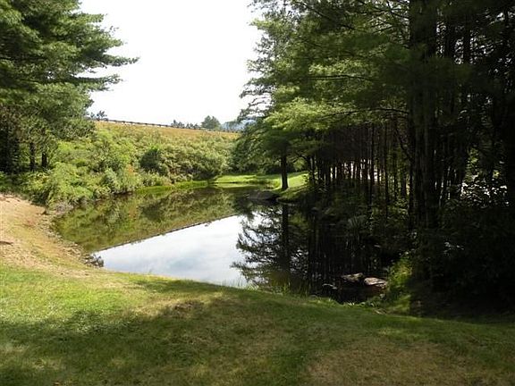 Small pond on property
