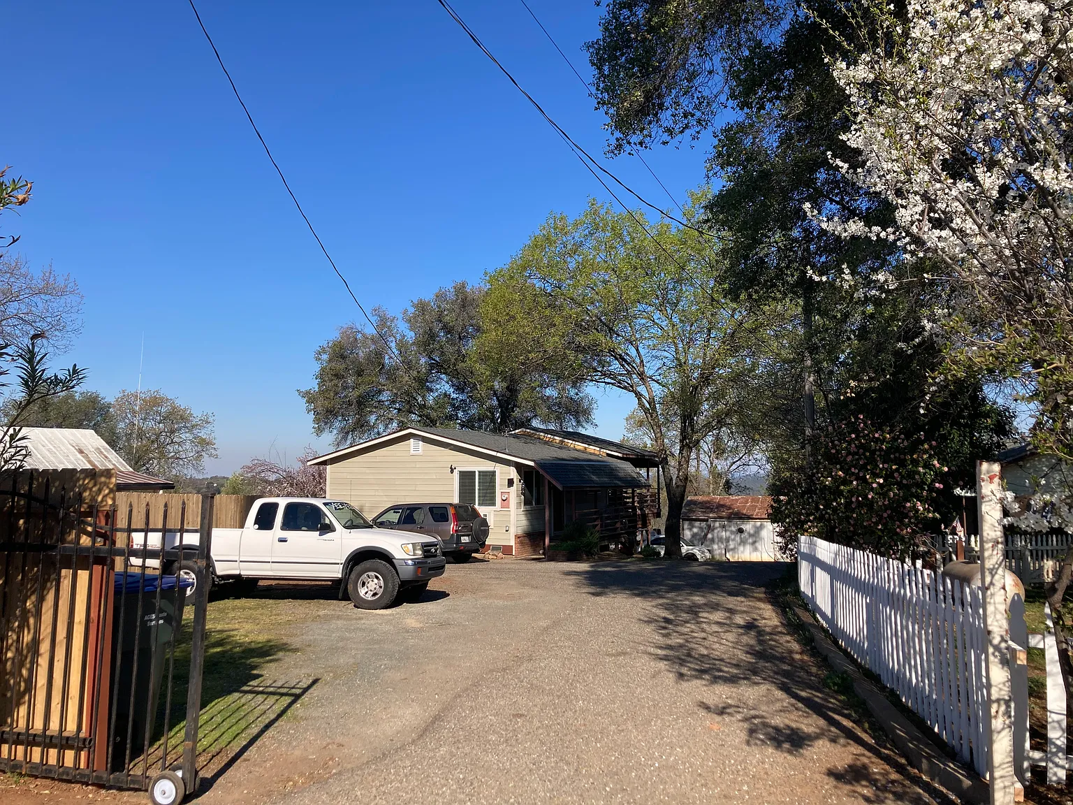 1 bed, 1250 sqft, $1,560 — Photo 4