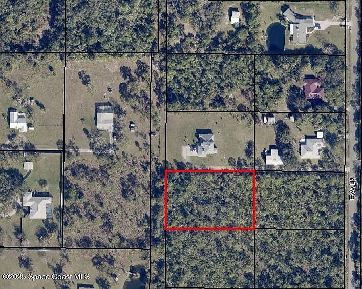 2nd image of Eva Ln