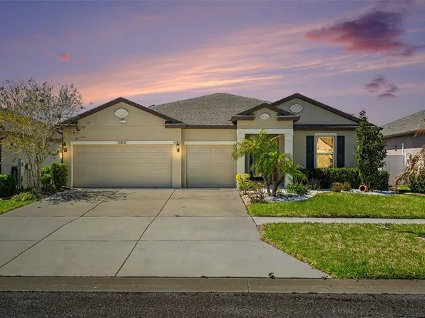 13805 Tonya Anne Dr, Riverview, FL 33579