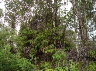 Kokokahi LOT 66, Volcano, HI 96785