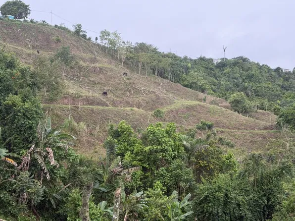 Bo Sud Carr 171 Km .9 4 Cuerda, Cidra, PR 00739