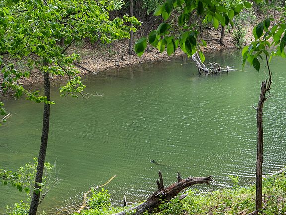 2nd image of 27278 Timber Springs Road