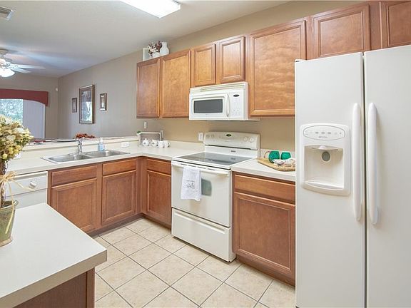 3rd image of 15716 Fishhawk Falls Dr