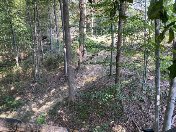 4345 Mount Unger Rd, Otway, OH 45657