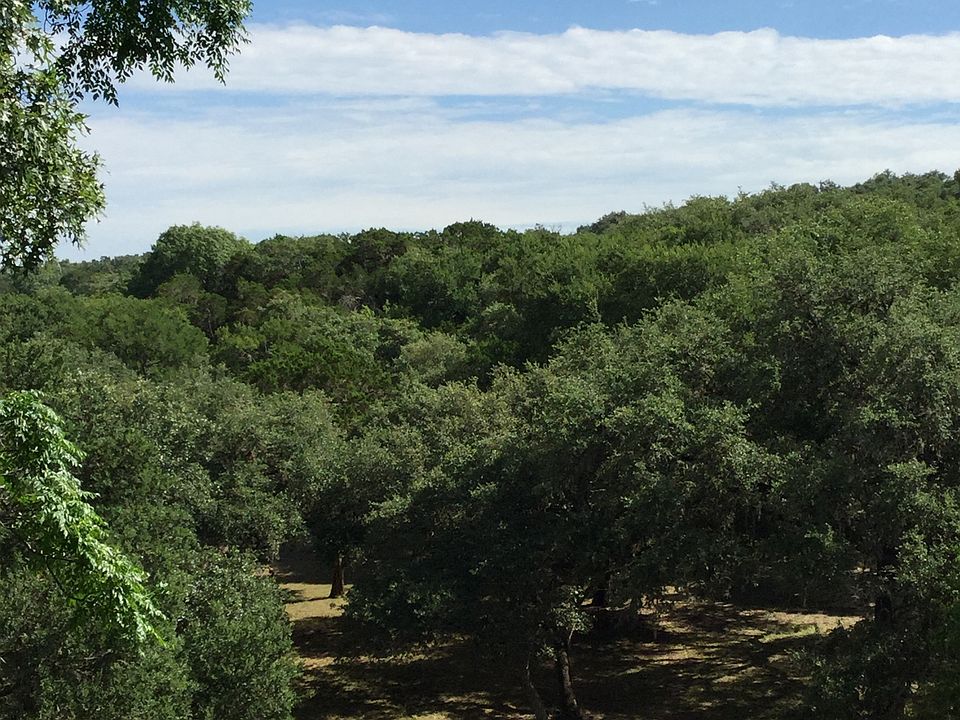 View off back of lot