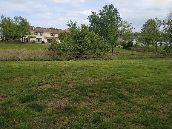 Back Yard View