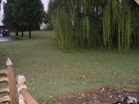 Large Fenced-in Backyard