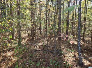 0 Maynor Ln #21, Oneonta, AL 35121