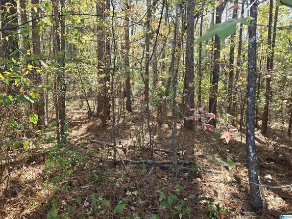 0 Maynor Ln #21, Oneonta, AL 35121