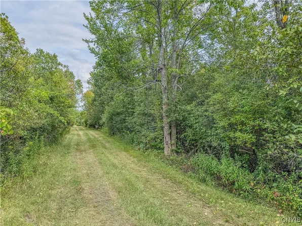 Timmerman Rd #50, Dexter, NY 13634