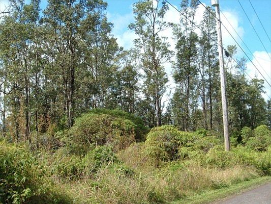 2nd image of 38th Ave Lot 39