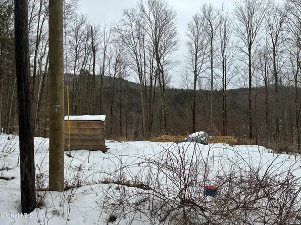 38 Hill Hollow Rd Road, Petersburgh, NY 12138