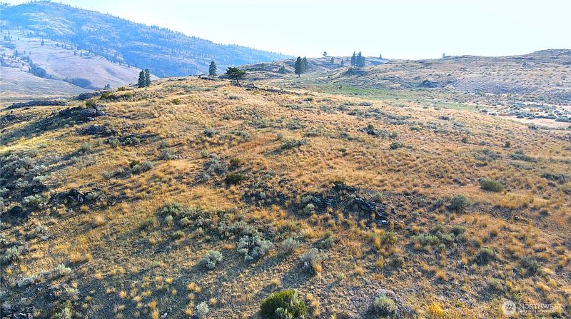 4th image of 0 XX McLaughlin Canyon Road