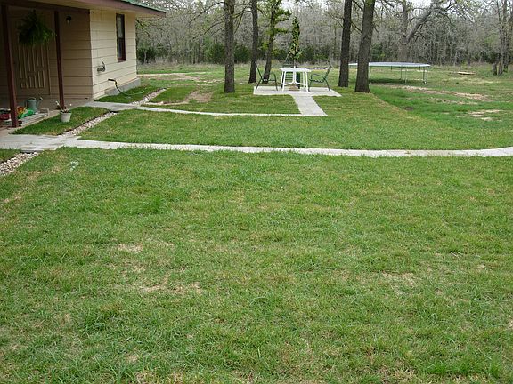 View of back yard lawn