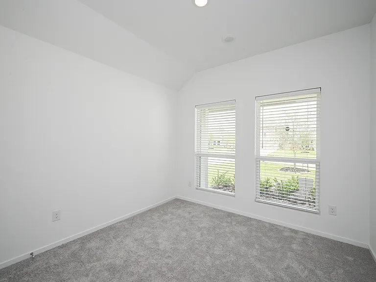 26811 Tree Mallow Dr — Photo 19