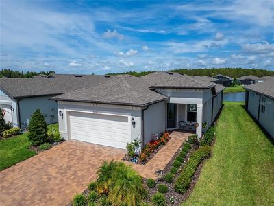 6110 Shorebird Br, Land O Lakes, FL, 34638