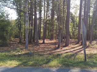 1872 Lynchs Beach Loop Rd, Bayboro, NC 28515