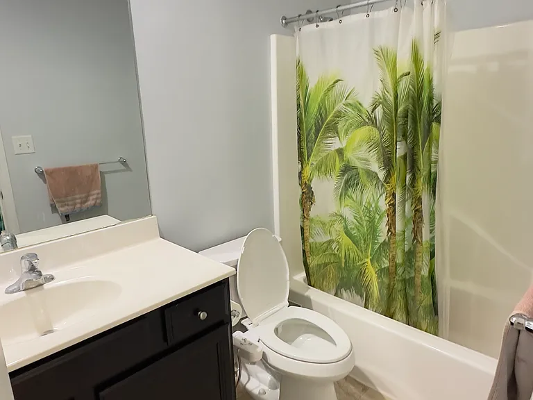 Common Bathroom