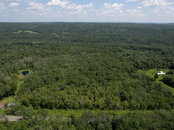 0 State Highway 220, Mc Donough, NY 13801