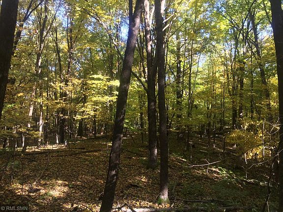 5th image of Xxx 175th Street West Sweden Twp