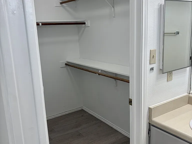 Primary walk-in closet from bathroom