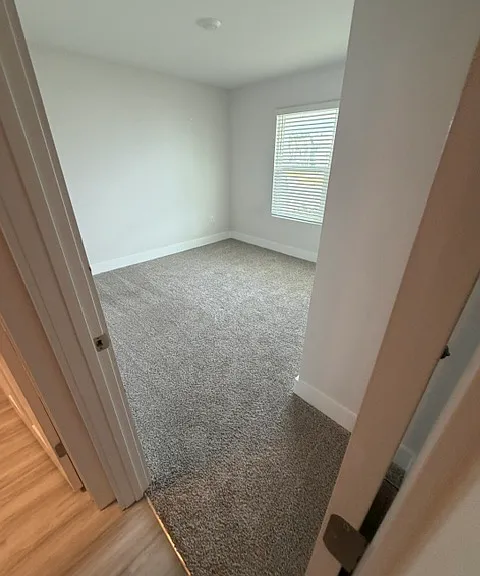 3338 Garganey Rd — Photo 11