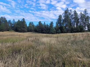 1037 Crooked Rd, Pagosa Springs, CO 81147