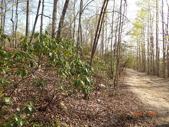 4th image of Dogwood Trl