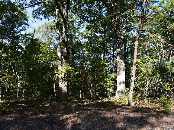 5th image of 0 Wyatts Way Tract B2