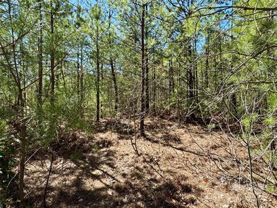 99 Oak Laurel Rd, Brevard, NC, 28712