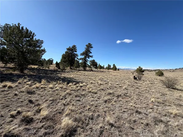 616 Guipago Trail LOT 5754, Hartsel, CO 80449