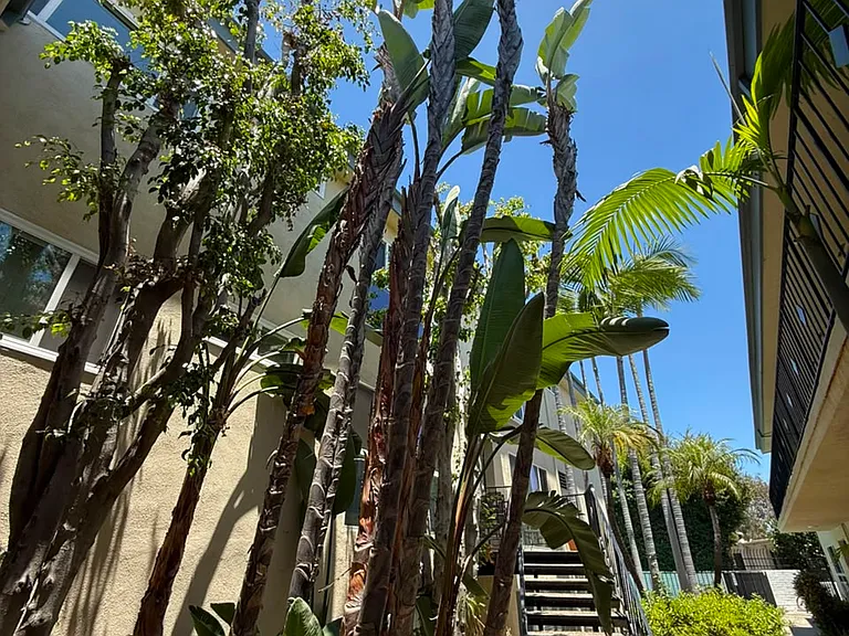 3410 Club Dr #9 — Photo 10