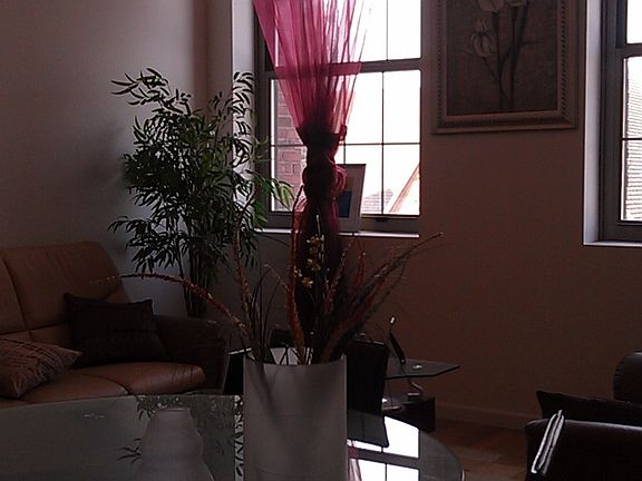 Model Furnished Unit