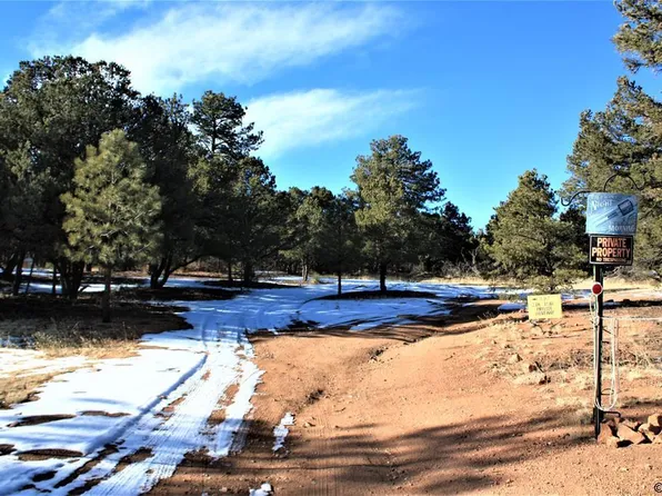 1187 13th Trl, Cotopaxi, CO 81223