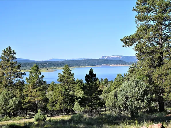 Canyon Dr, Los Ojos, NM 87551