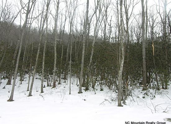 4th image of 113 Old Lafayette Ln