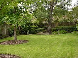 2nd image of 4222 Kirby Oaks Dr