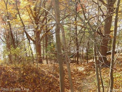 L5 Addaleen Rd, Highland, MI, 48357