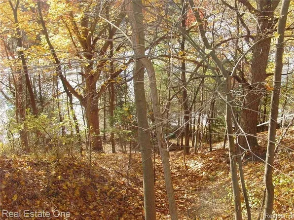 L5 Addaleen Rd, Highland, MI 48357