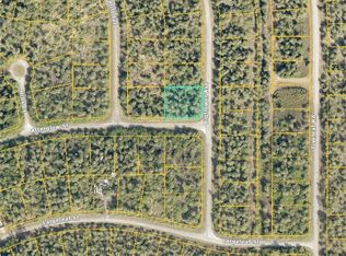 LOT 12 Bigflower Ave, North Pt, FL 34286